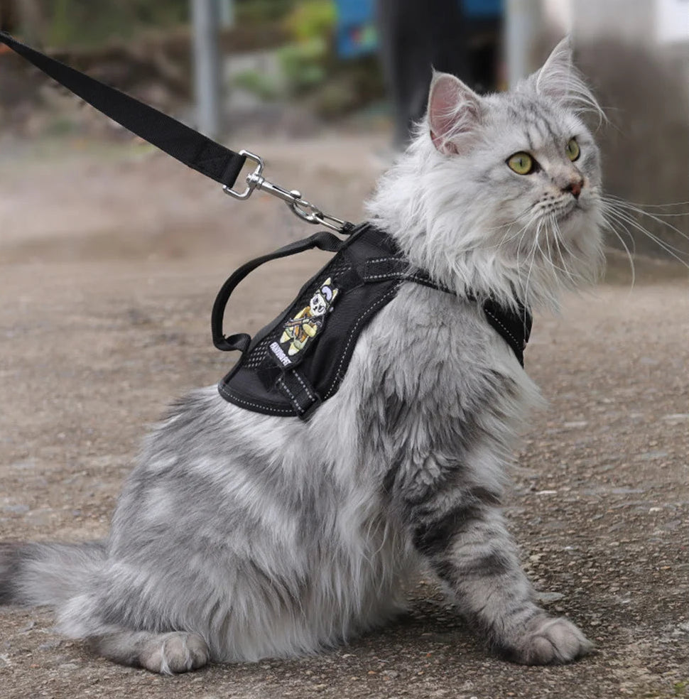 Reflecterend Tactical Kattentuigje