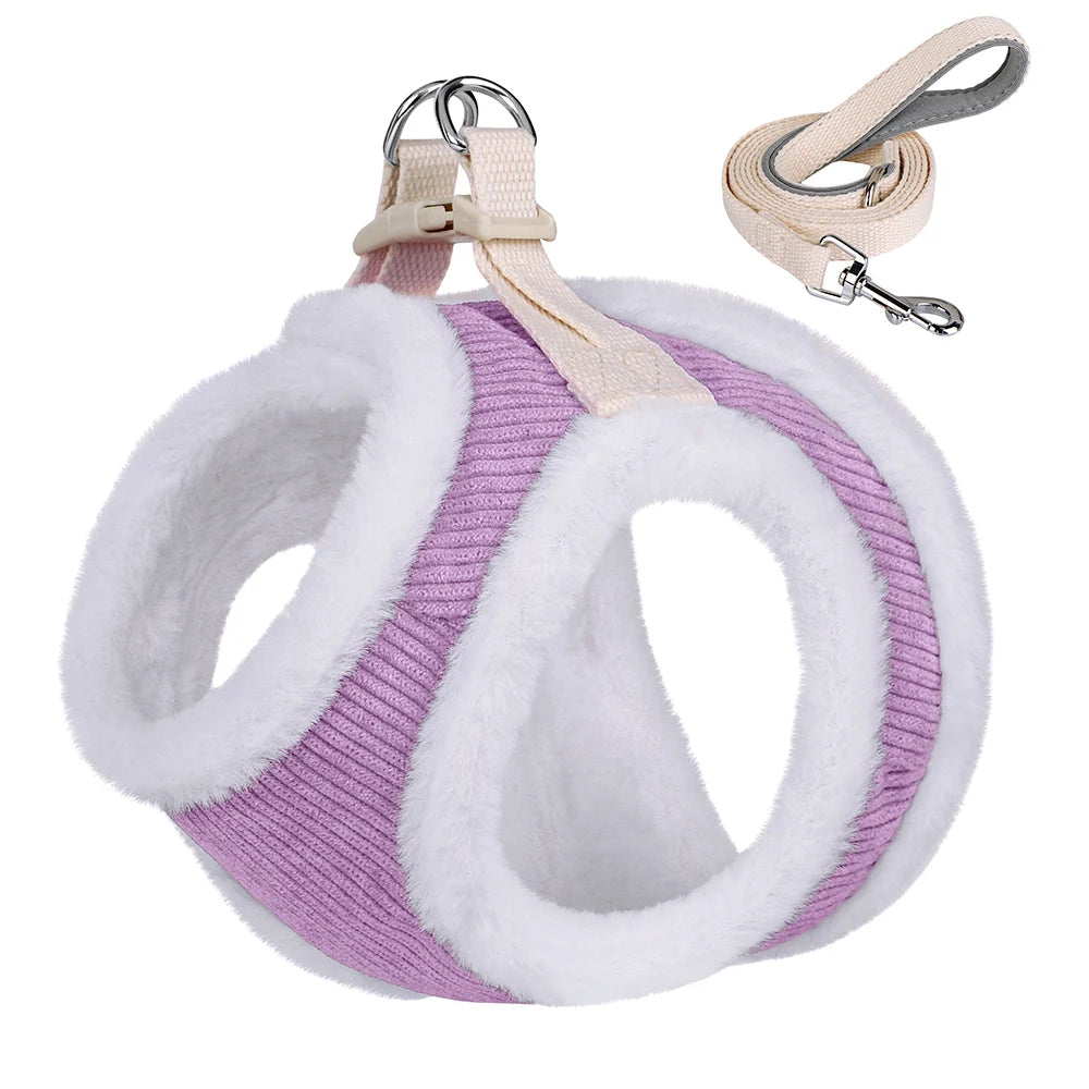 Winters Instaptuigje met Riem (Set) voor Kleine Honden of Katten - Teddy