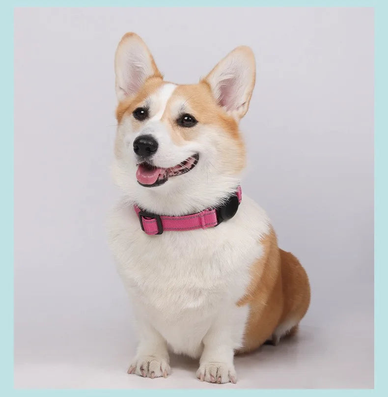 Reflecterende Halsband met AirTag-houder