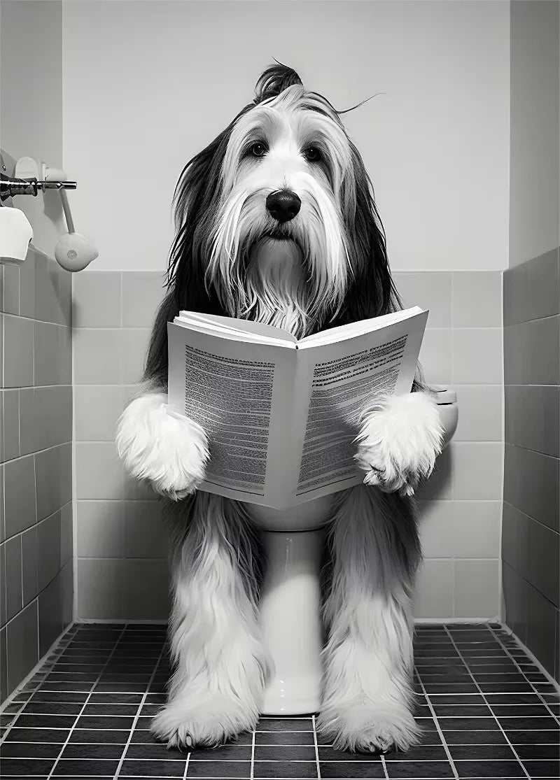 Canvasposter - Hond op Toilet - Zwart/Wit