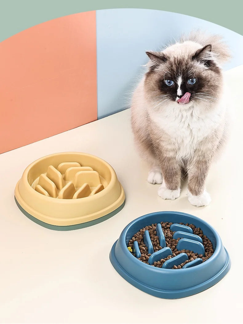 Slow Feeder Voerbak voor Hond & Kat