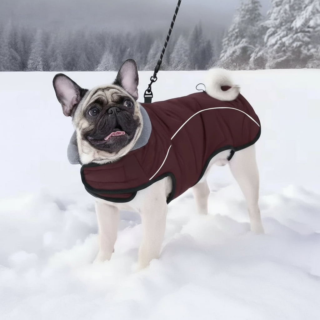 Waterdichte, Warme Hondenjas met Reflectie