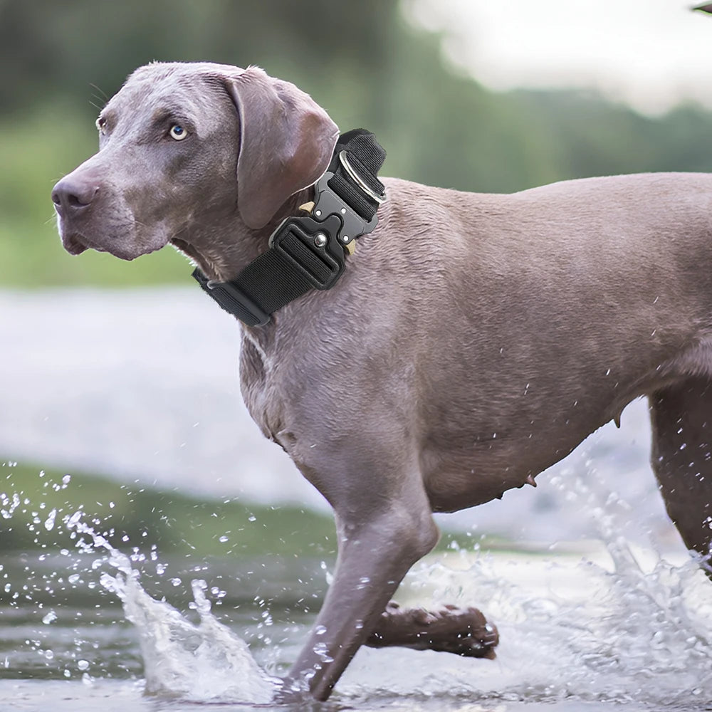 Tactical K9 Halsband