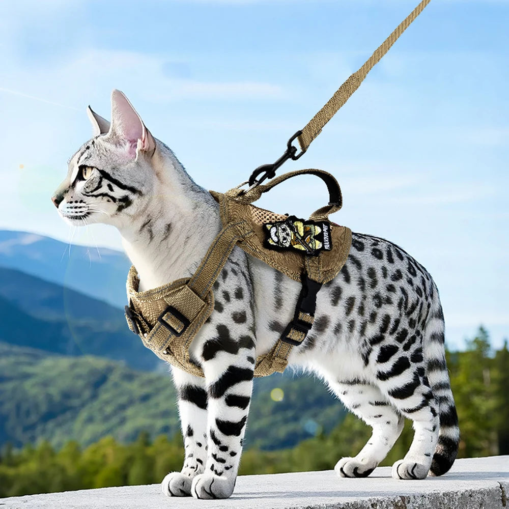 Reflecterend Tactical Kattentuigje