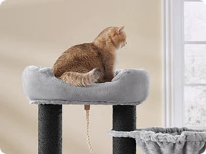 Feandrea - Grote Krabpaal met Hangmat & Kattenhuis