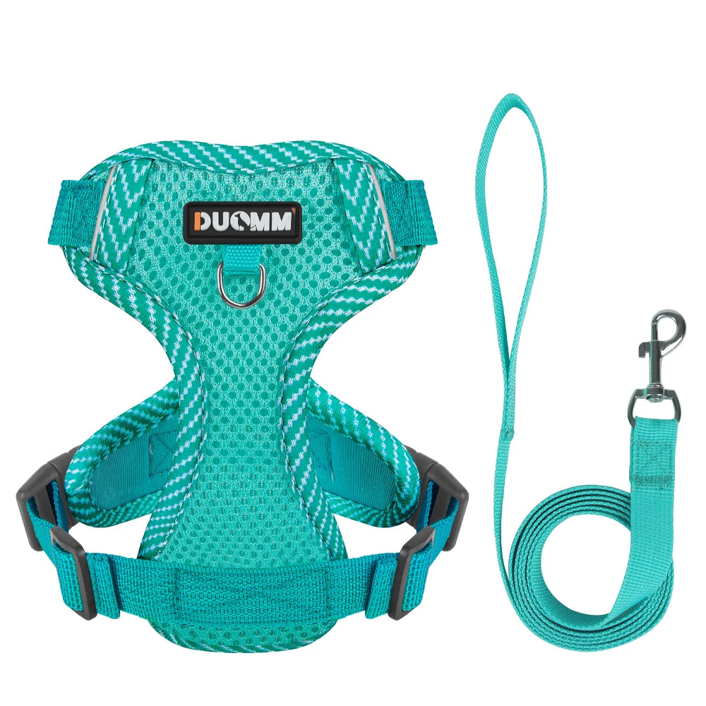 Duomm - Set Hondentuigje & Riem