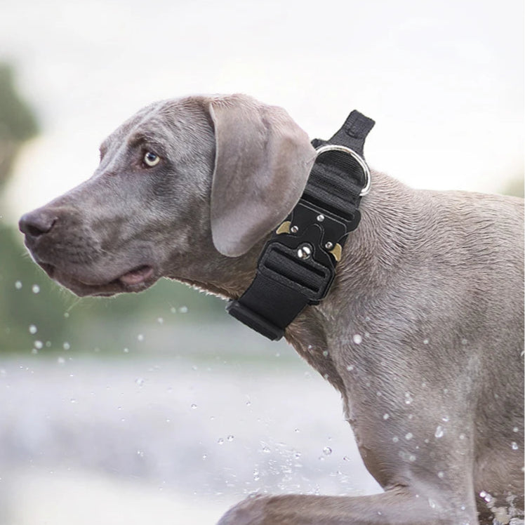 Tactical K9 Halsband