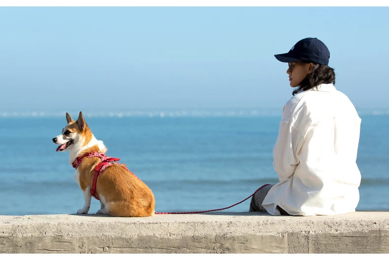 Truelove - Anti-Trek Reflecterend Hondenharnas met Bloemenpatroon (2025)