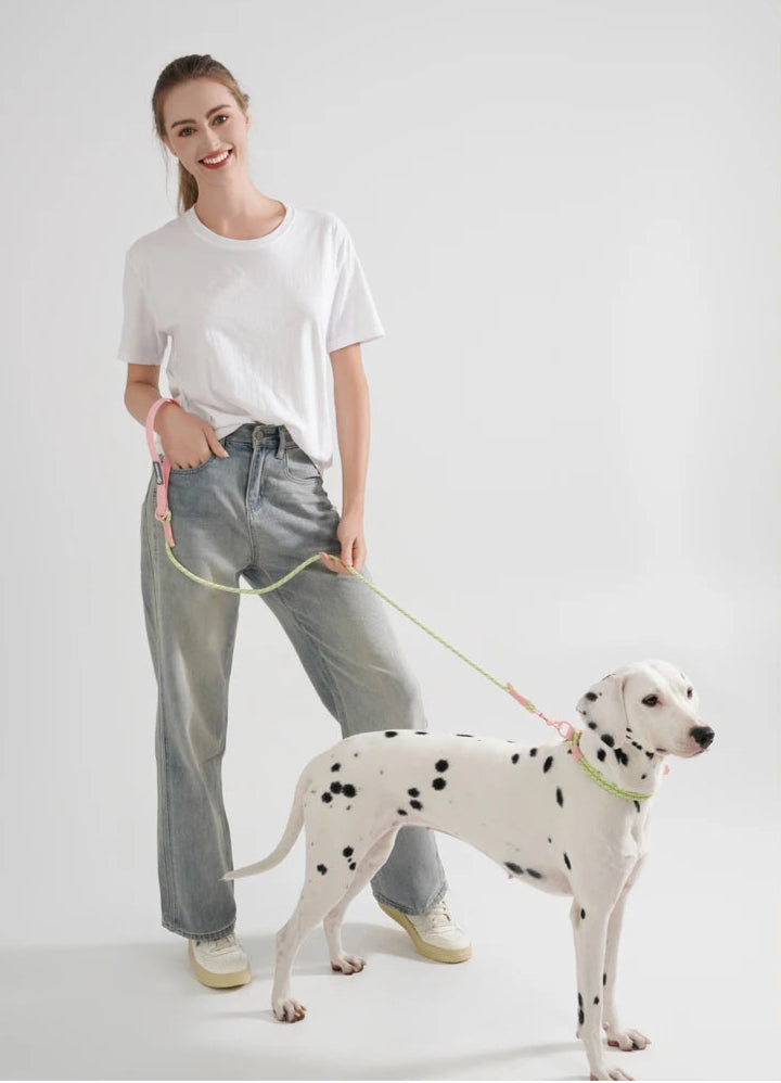 Waopet - Halsband - Sugar Sweet