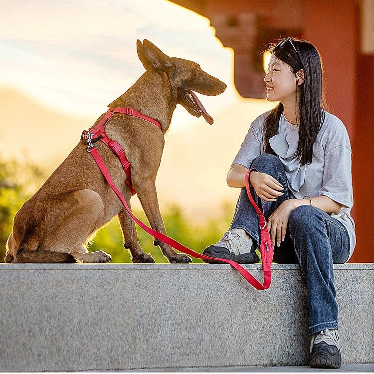 Small Combination - Kleurrijke Hondenriem
