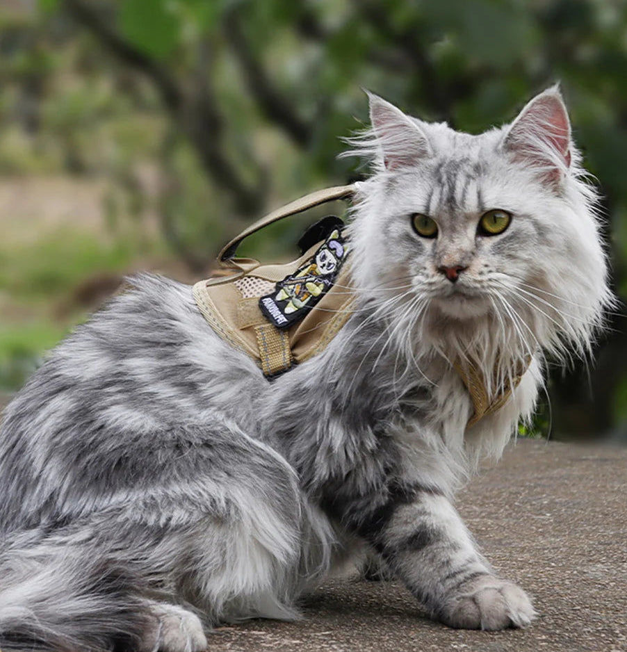 Reflecterend Tactical Kattentuigje