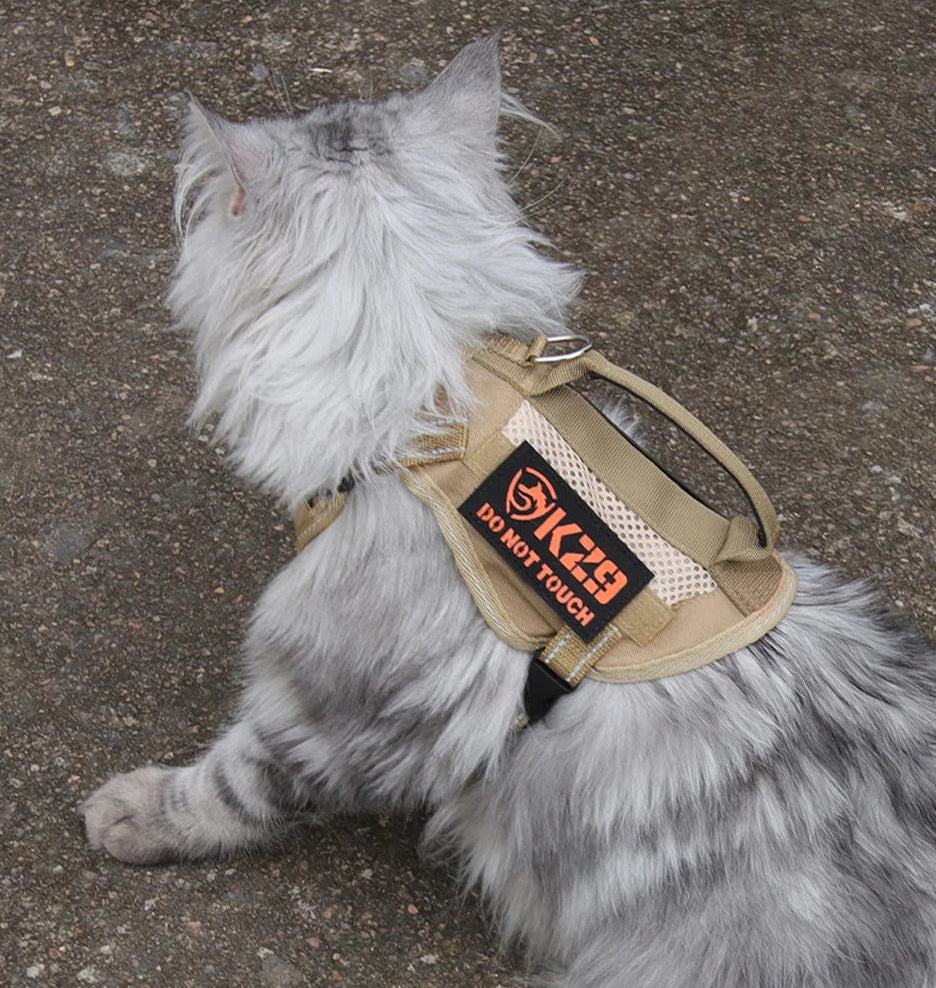 Reflecterend Tactical Kattentuigje