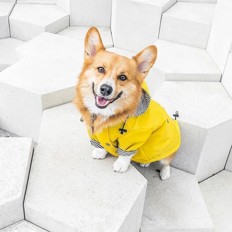 Waterdichte Regenjas met Kap voor Honden