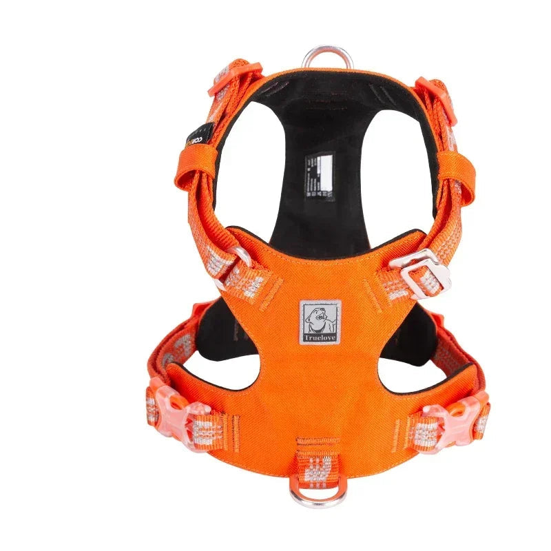 50578851922251|50578851955019|50578851987787|50578852053323|50578852086091|50578852118859