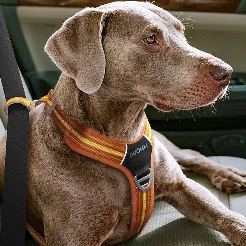 Duomm - Reflecterend Hondentuigje | Sporty