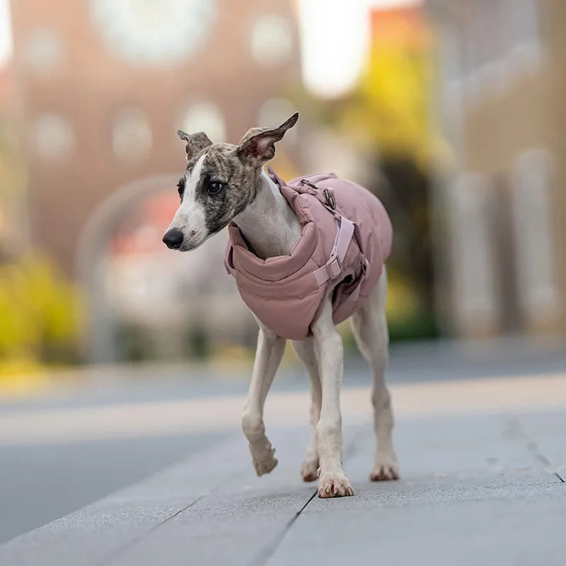 Warme Hondenjas met Geïntegreerd Tuigje