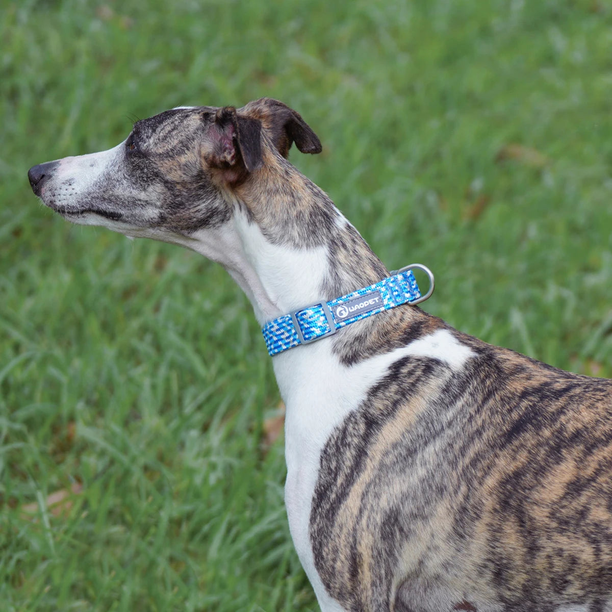Waopet - Reflecterende Multicolor Halsband