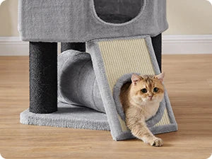 Feandrea - Grote Krabpaal met Hangmat & Kattenhuis