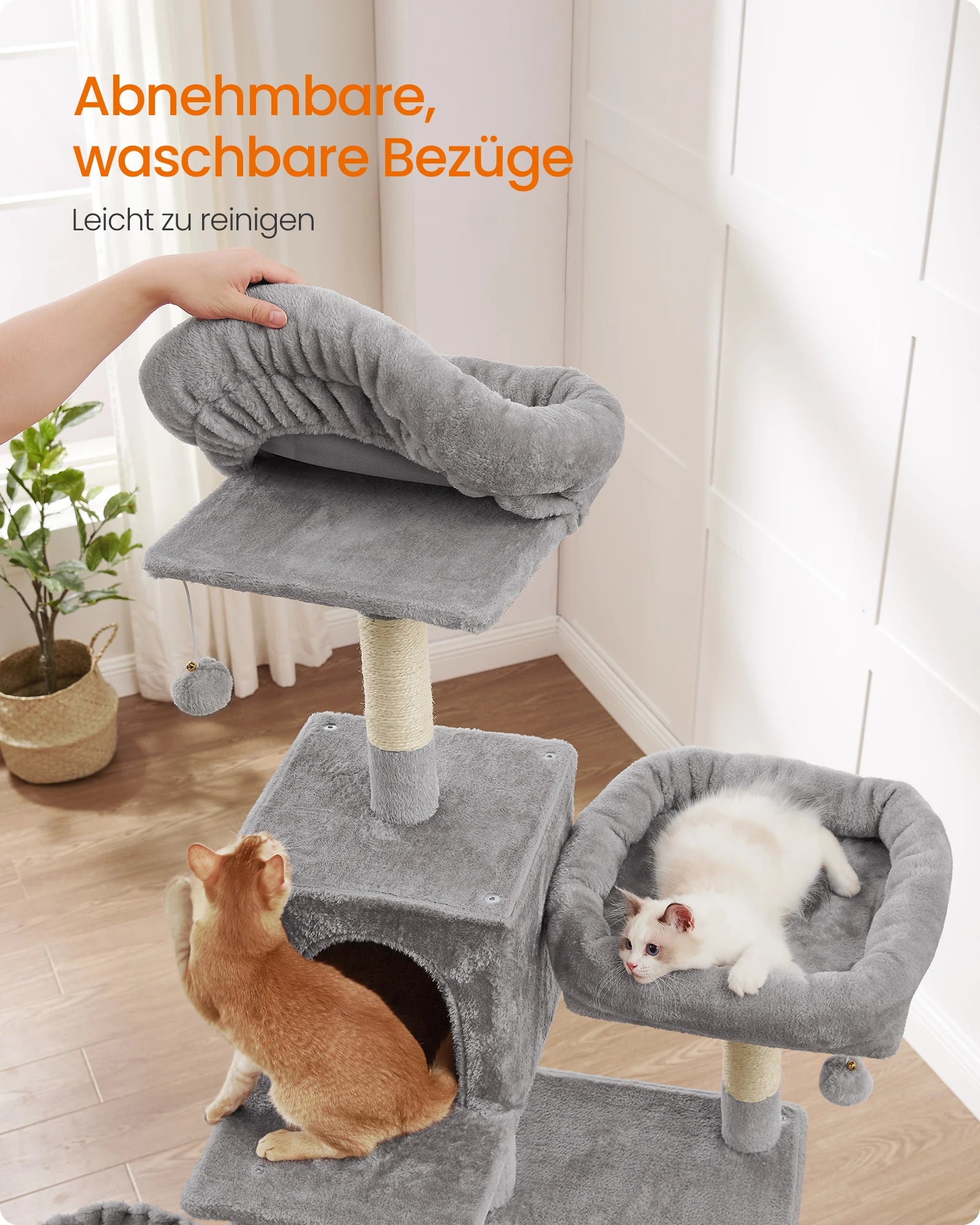 FEANDREA - SkyHigh sCATscraper