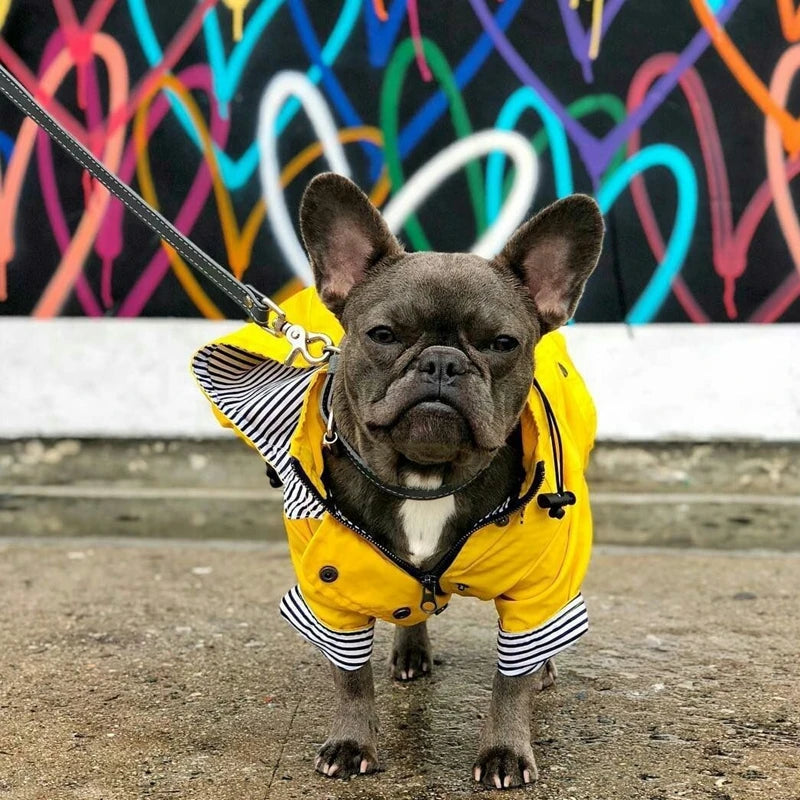Waterdichte Regenjas met Kap voor Honden
