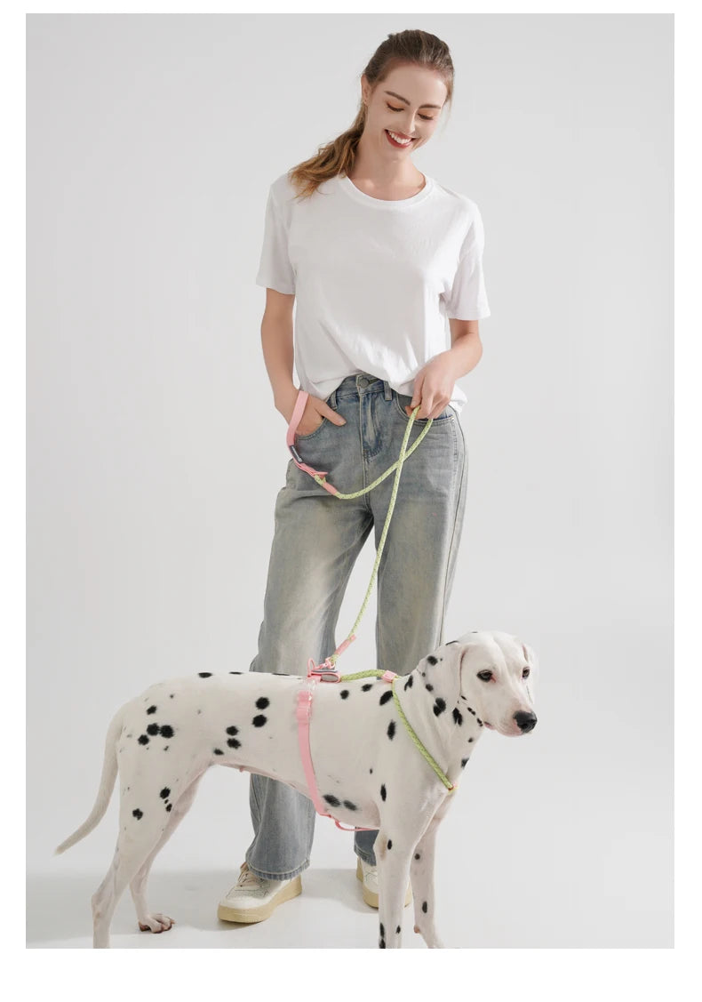 Waopet - Leiband - Sugar Sweet