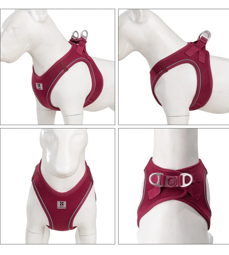 Small Combination - Reflecterende Set met Hondentuigje en Handsfree Riem