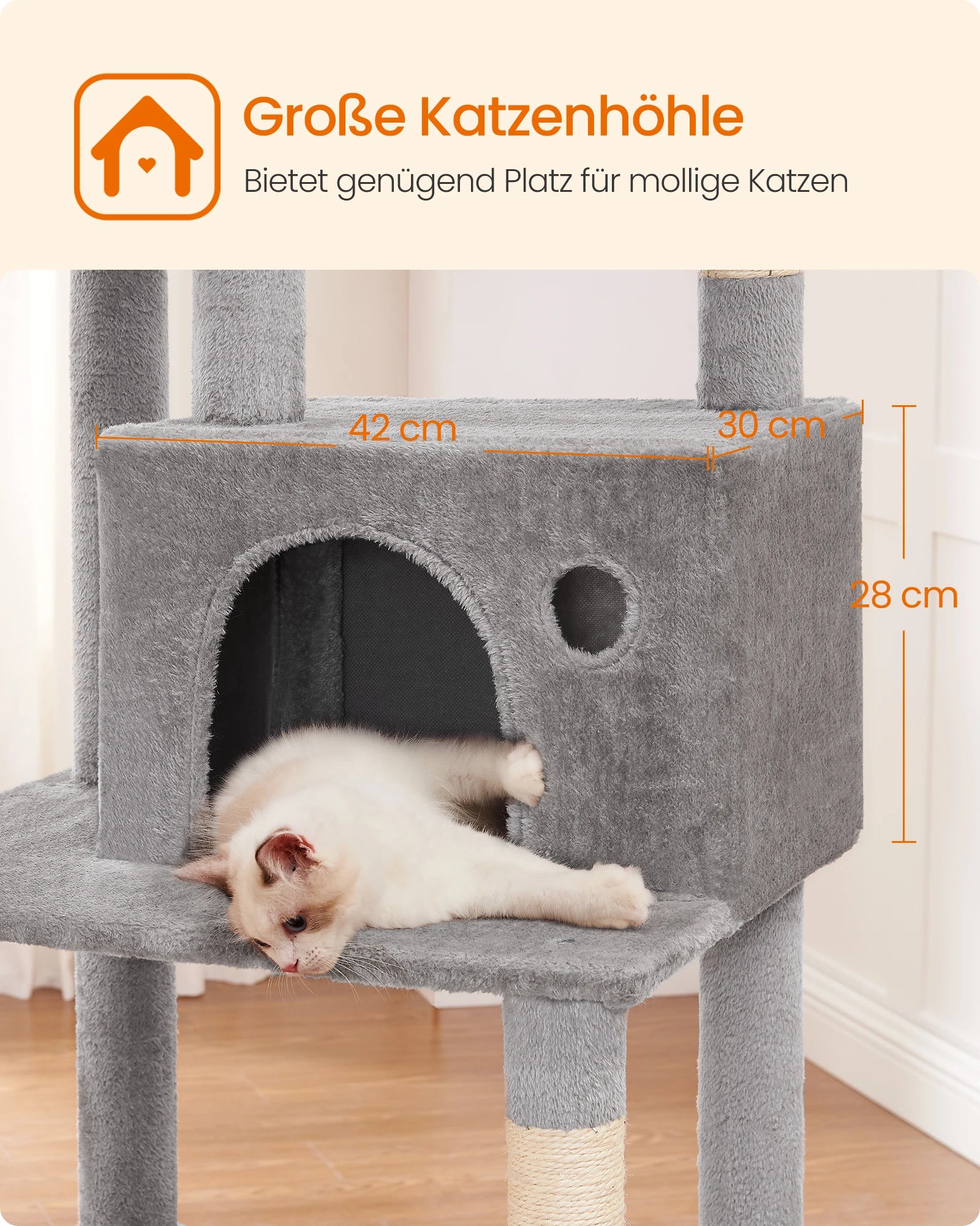 FEANDREA - SkyHigh sCATscraper