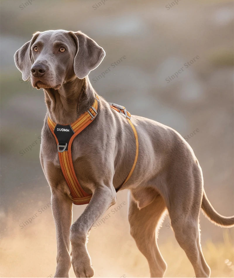 Duomm - Reflecterend Hondentuigje | Sporty