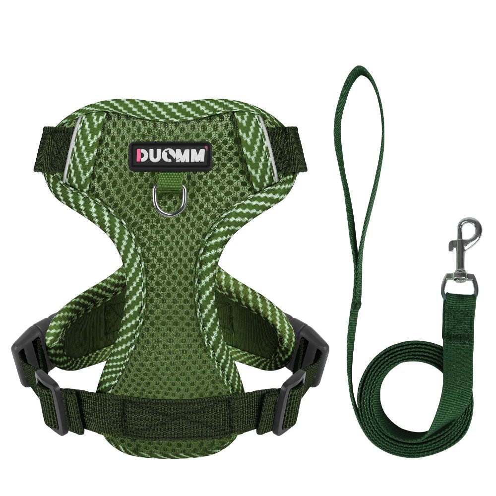 Duomm - Set Hondentuigje & Riem
