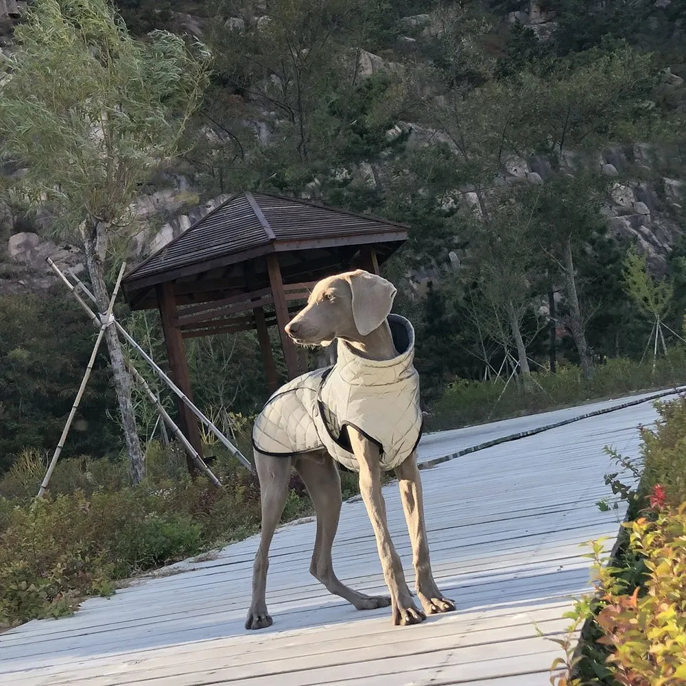 EXtra Reflecterende Hondenjas