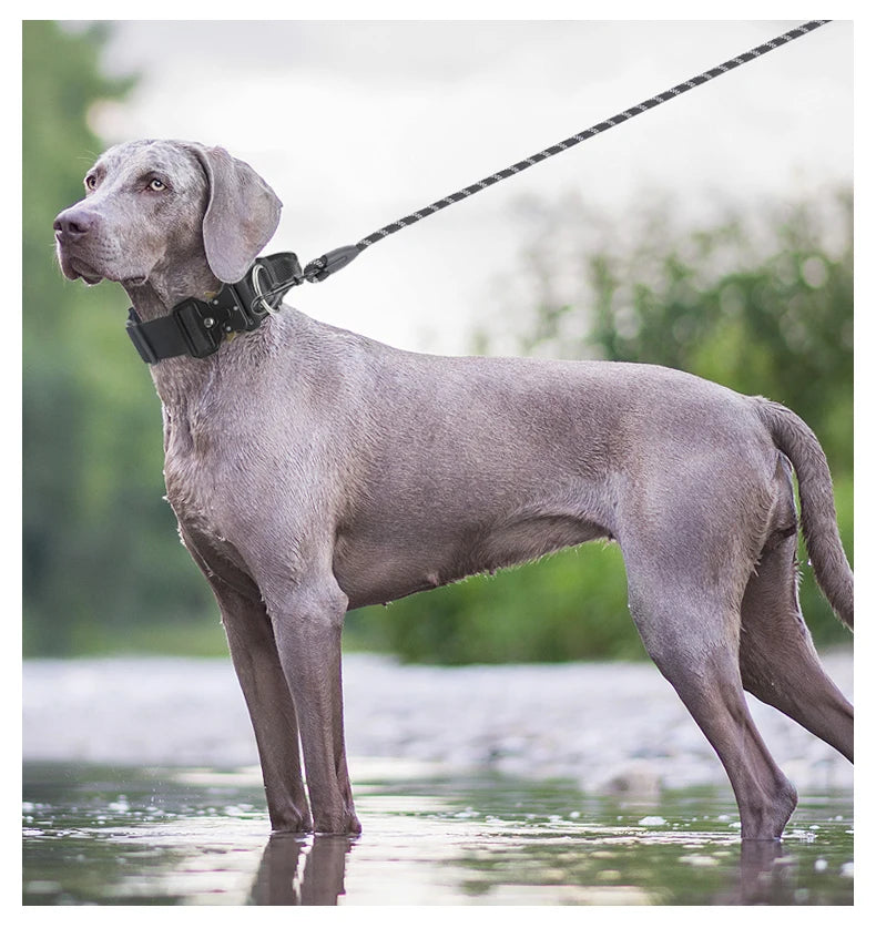 Tactical K9 Halsband