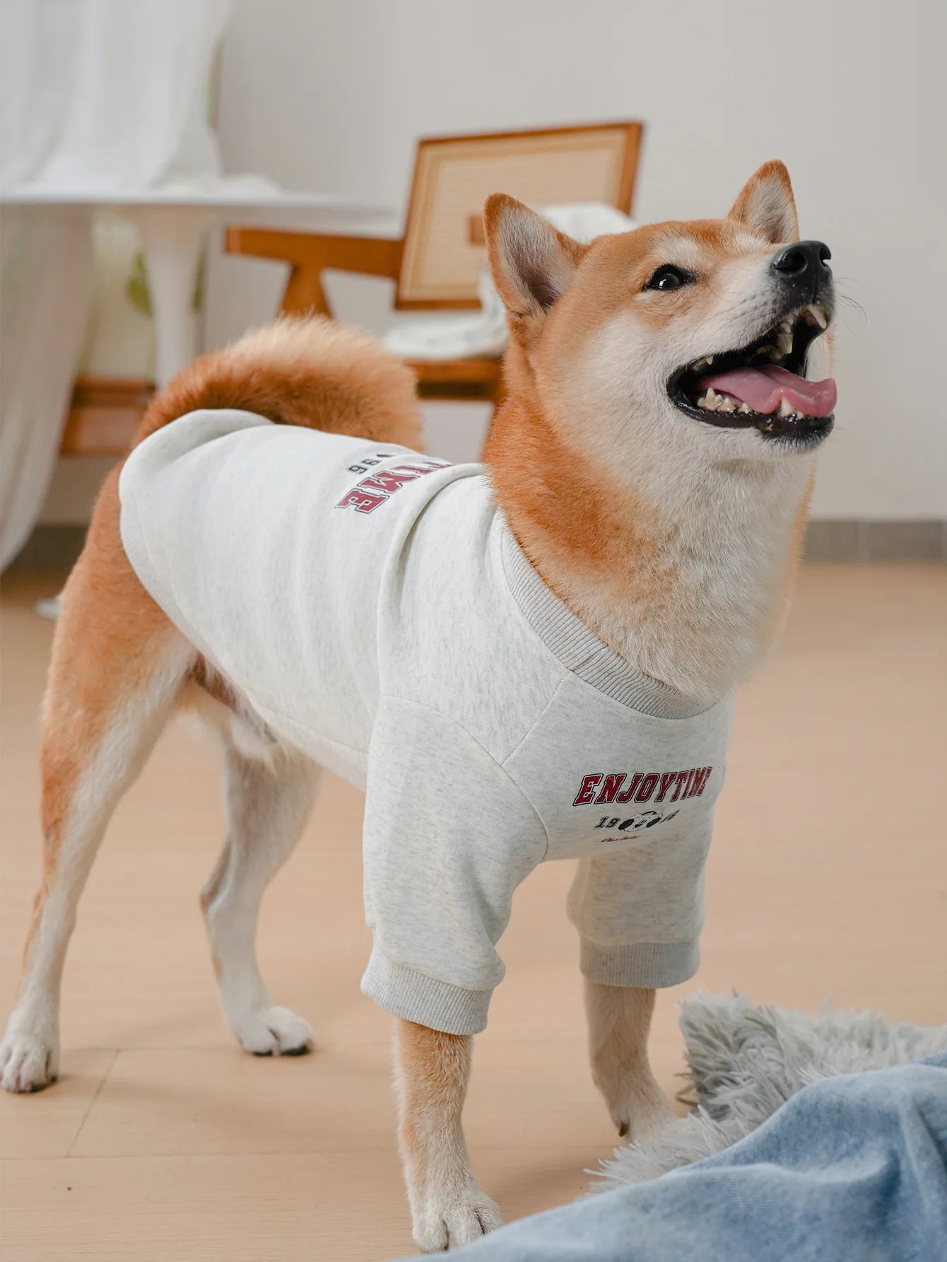 Matching Sweater voor Hond & Baasje - Enjoytime - Trui