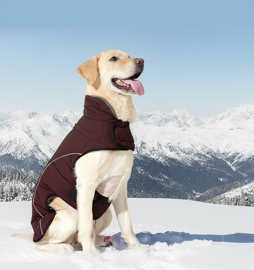 Waterdichte, Warme Hondenjas met Reflectie