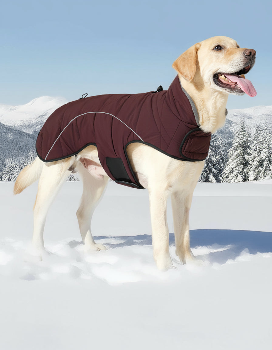 Waterdichte, Warme Hondenjas met Reflectie