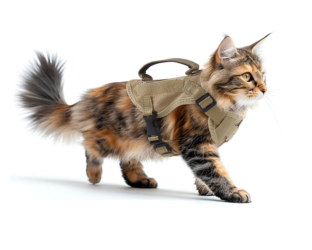 Reflecterend Tactical Kattentuigje