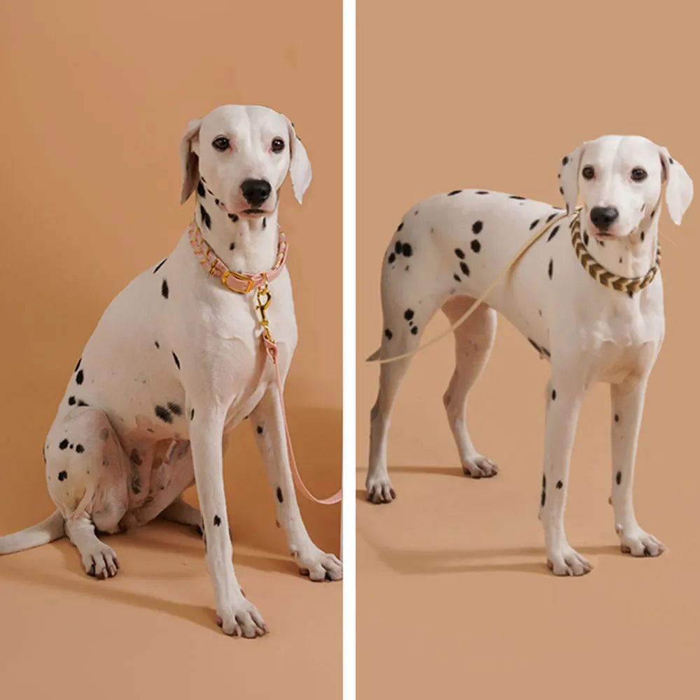 Waopet - Leather-Look Geweven Halsband - Ibiza Style