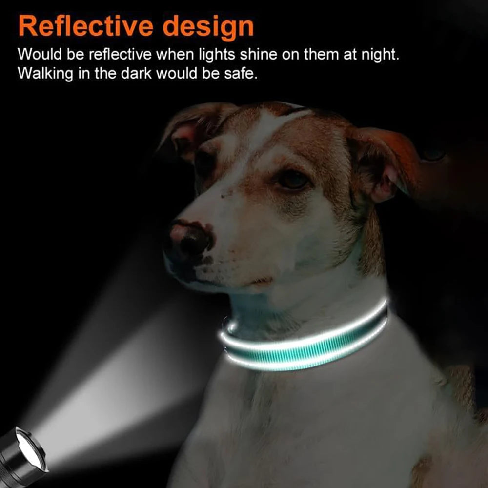 Reflecterende Halsband met AirTag-houder