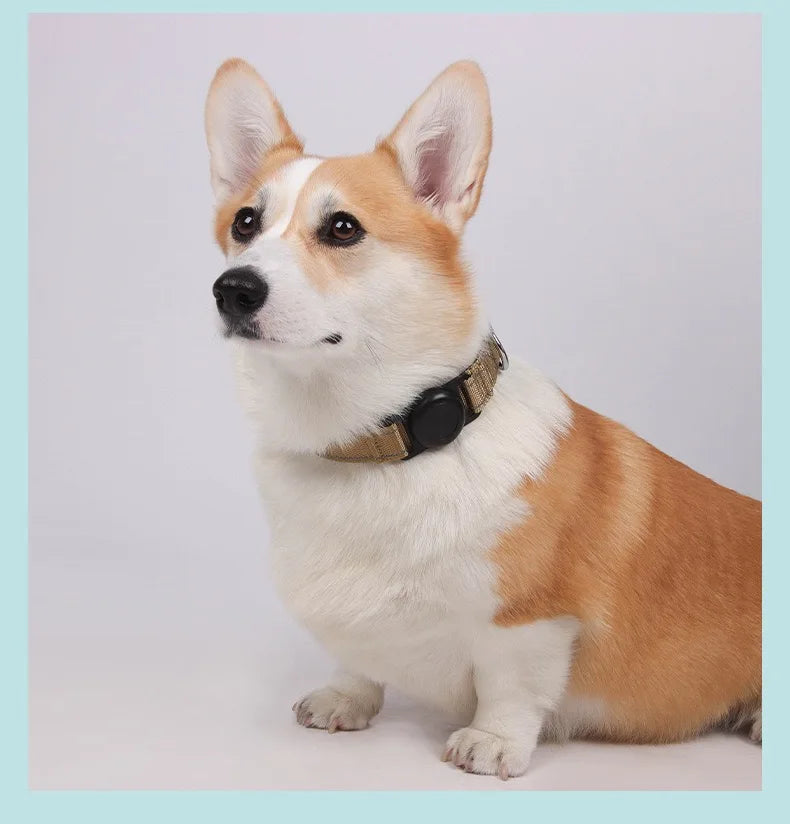 Reflecterende Halsband met AirTag-houder