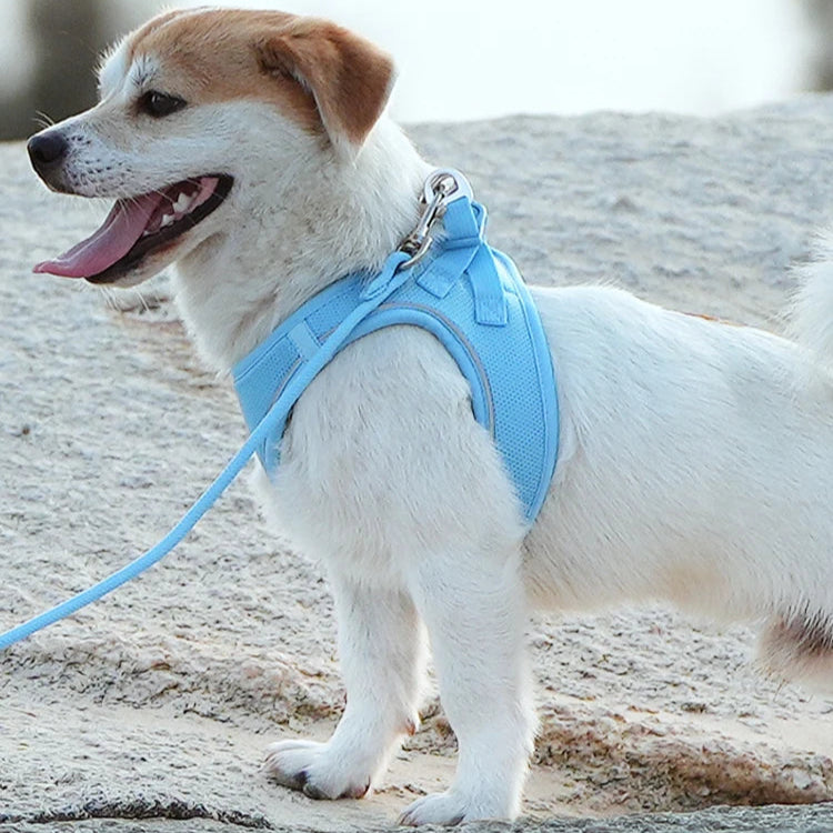 Small Combination - Reflecterende Set met Instaptuigje en Handsfree Riem