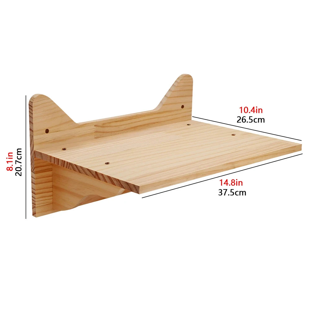 PATYOCAT - Modulaire Kattenwand Klimset met Krabpaal en Optionele Trap