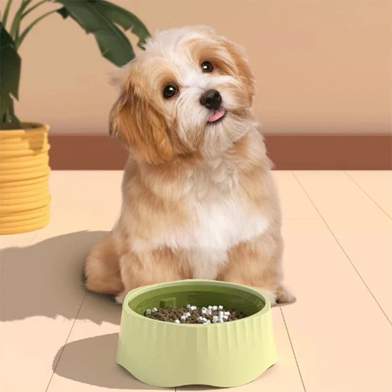 2-in-1 Anti-Schrok Voerbak voor Honden en Katten