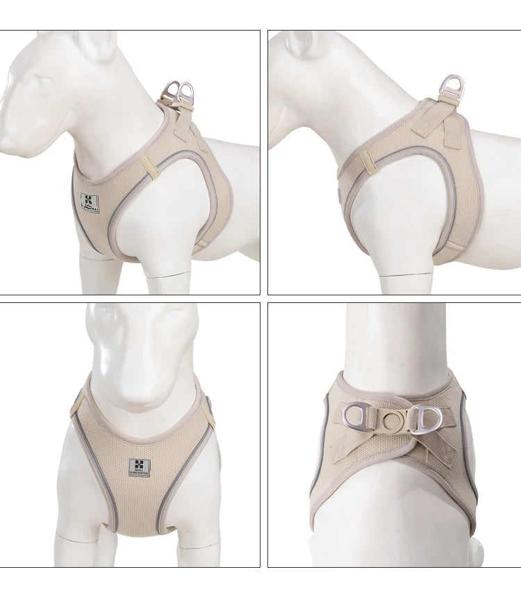 Small Combination - Reflecterende Set met Instaptuigje en Handsfree Riem