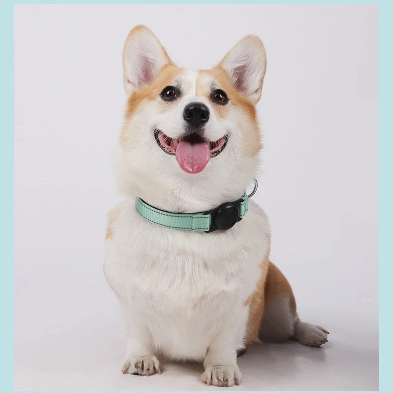 Reflecterende Halsband met AirTag-houder