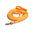 Premium Kunstleer Hondenriem 3M / 6M