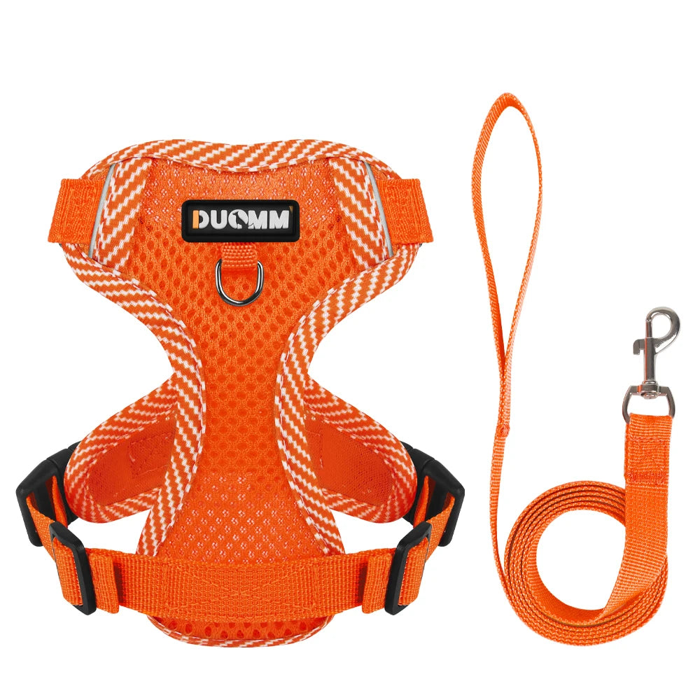 Duomm - Set Hondentuigje & Riem