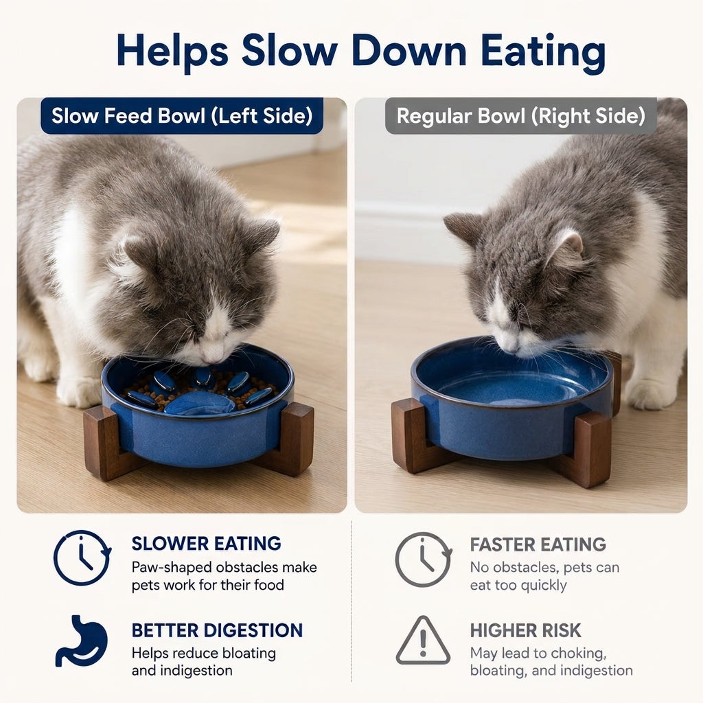 Infographic met de slow feeding producteigenschappen van de luxe keramische voederbakken met donker acaciahout en ergonomische hoogte