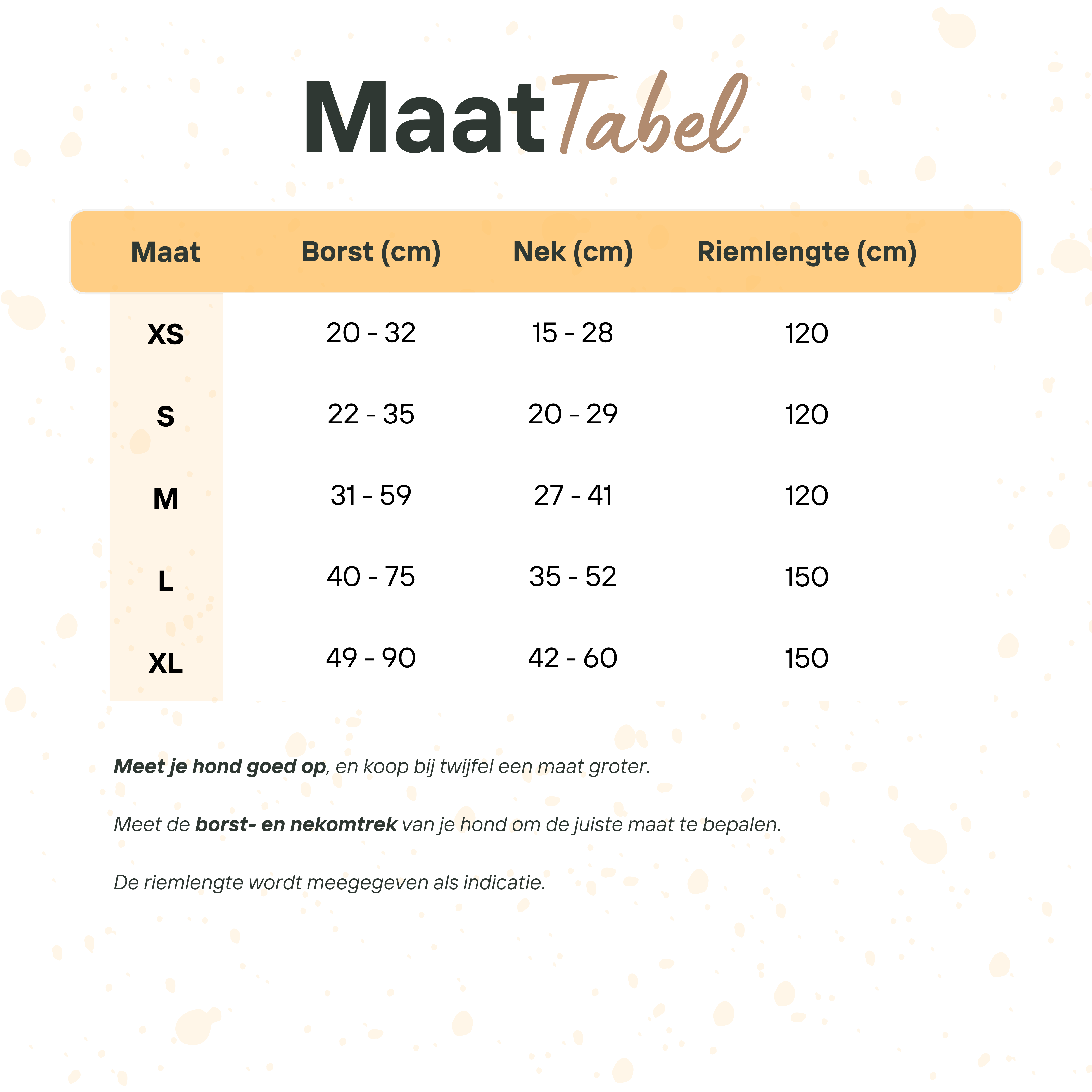 Teddy Ready - 4-Delige Set met Tuigje, Halsband, Riem en Strik - Faux White