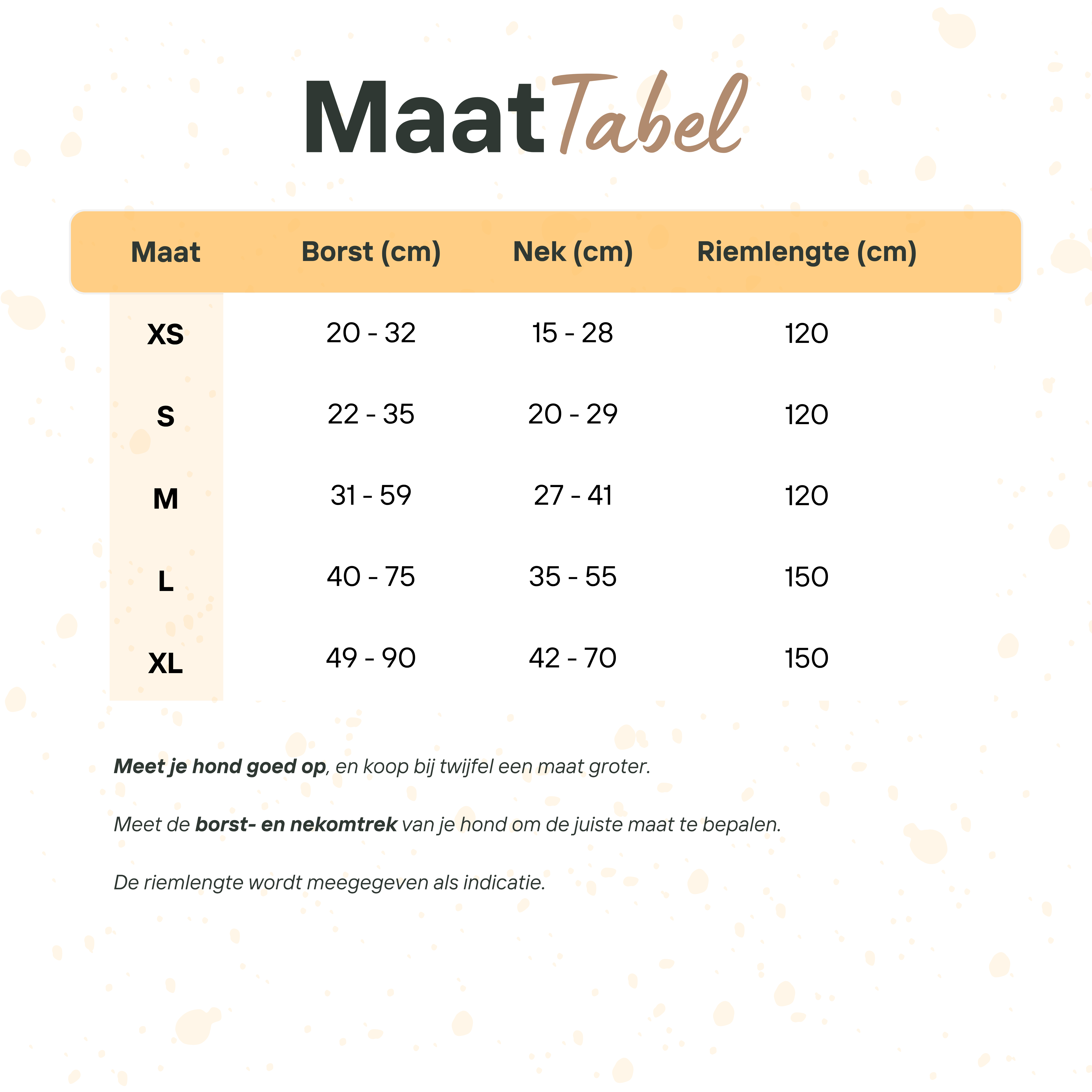 Teddy Ready - Set met Tuigje en Riem - Roze