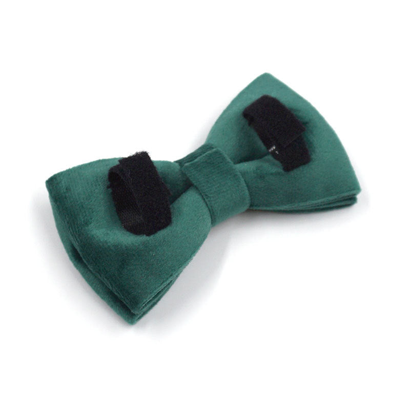 Groene Velvet strik voor honden van DreamPawz