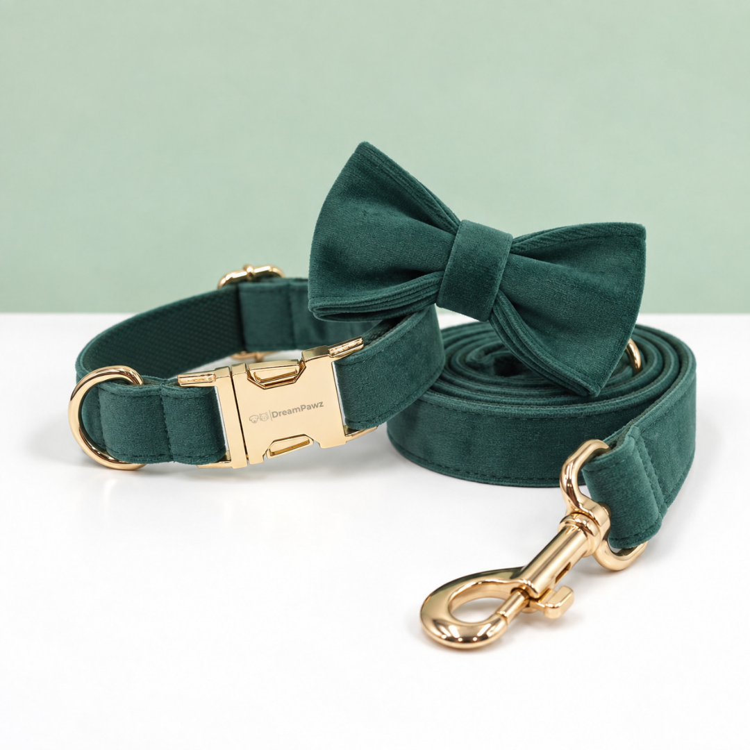 Luxe DreamPawz 3-delige hondenset in donkergroen velvet bestaande uit halsband met goudkleurige gesp, hondenlijn en bijpassend strikje op een rustige achtergrond.